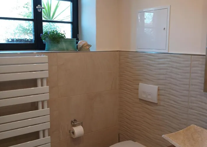 Saalekoje * Halle (Saale)